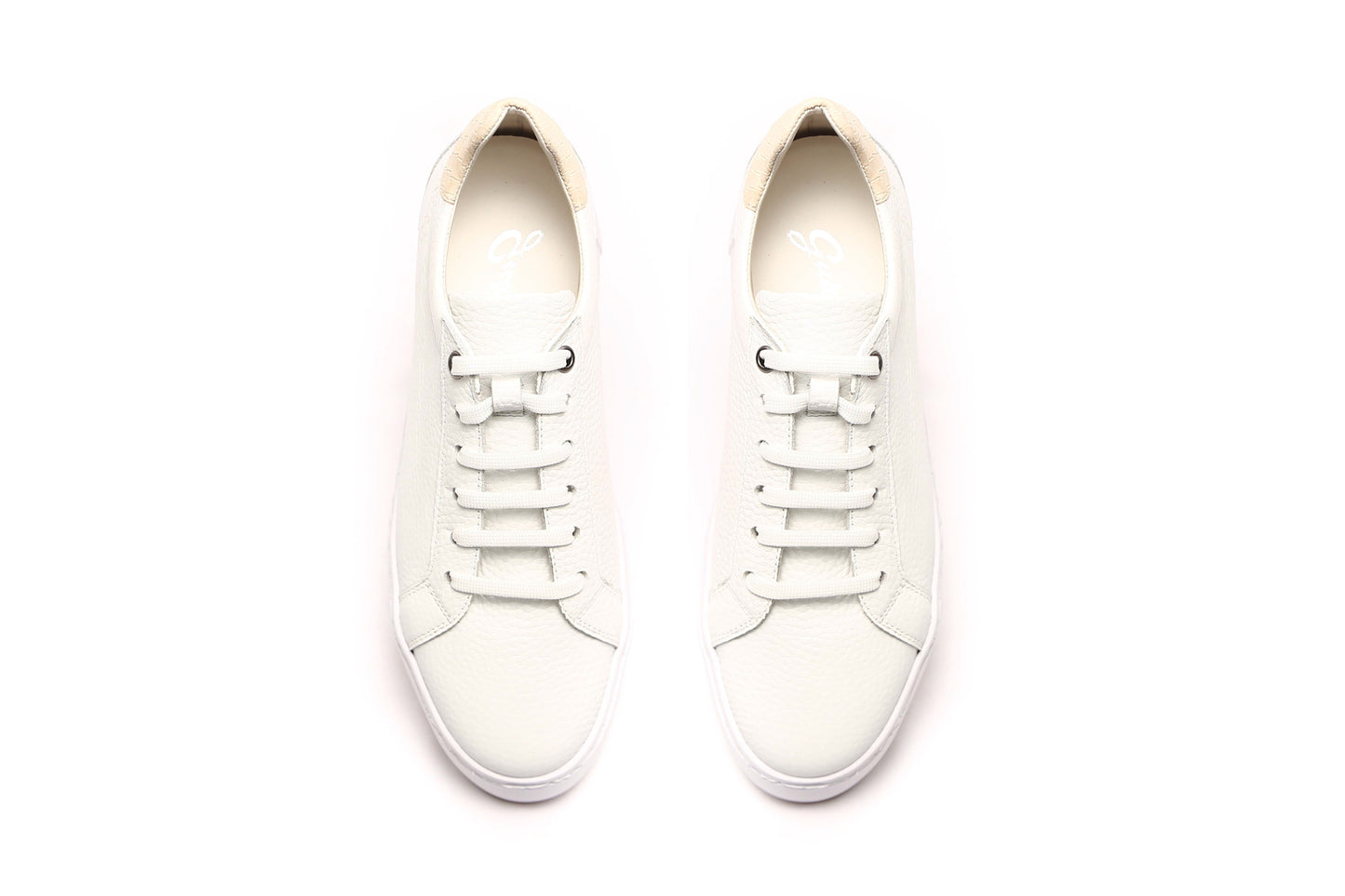 Urban White