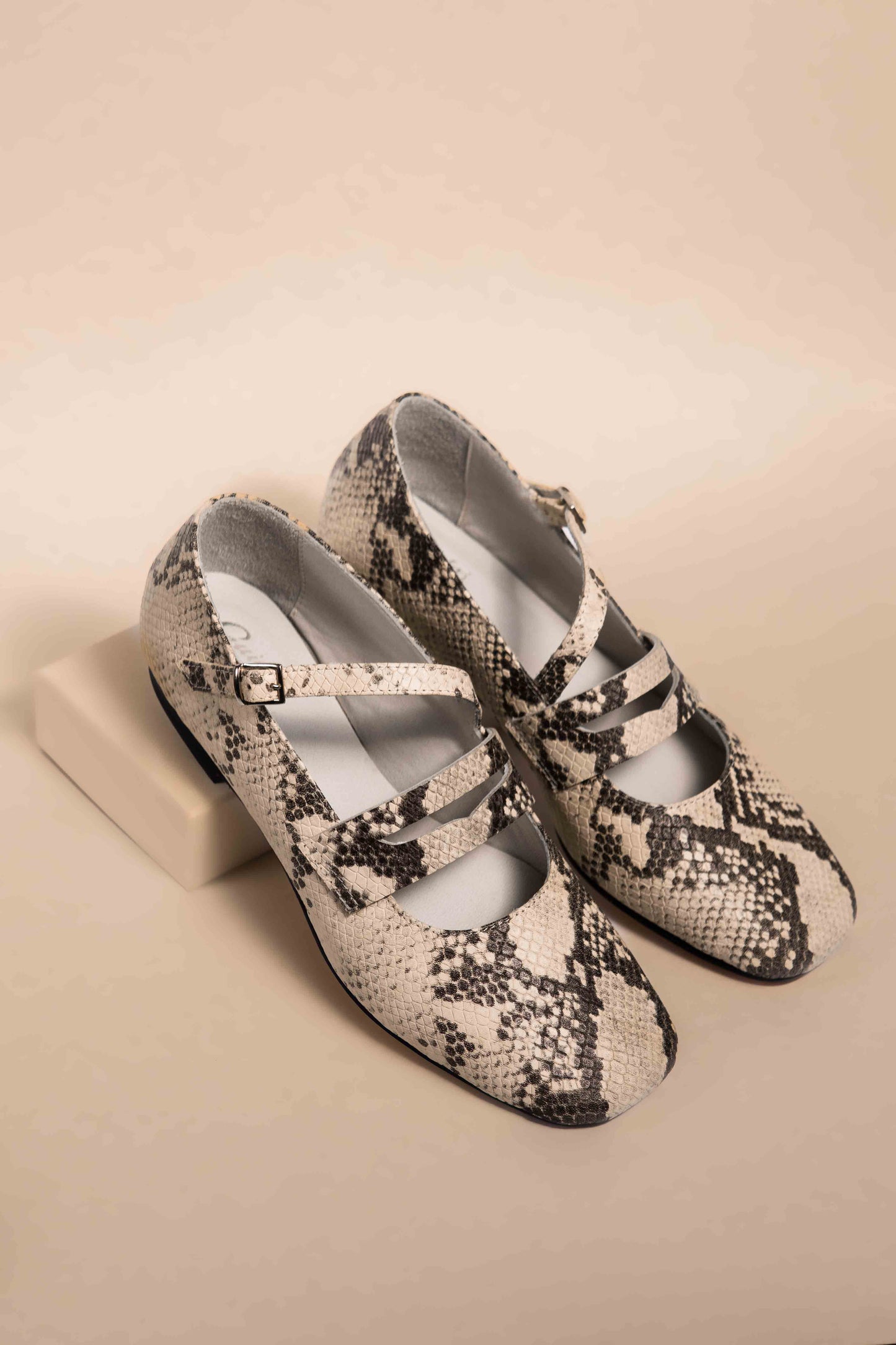 Guillermina Mary Jane Lizard