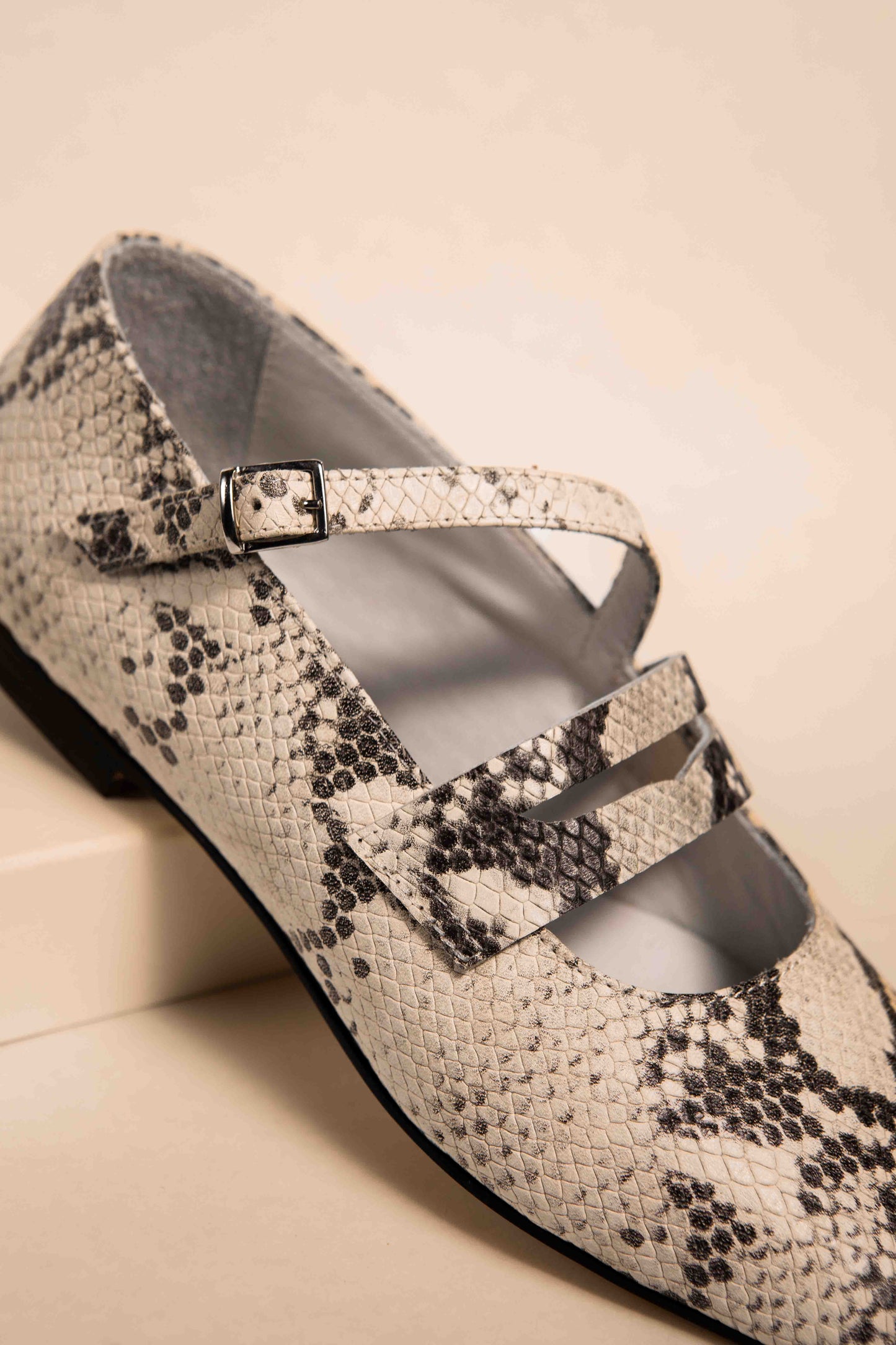 Guillermina Mary Jane Lizard