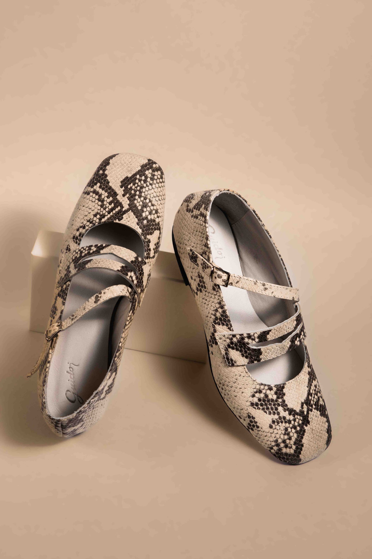 Guillermina Mary Jane Lizard