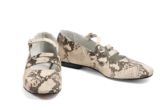 Guillermina Mary Jane Lizard